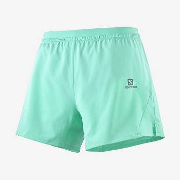 Salomon CROSS 5'' Shorts Herre Mintgrønne | DK-W1400