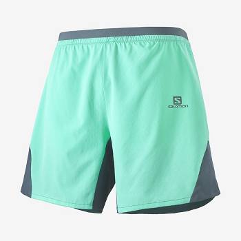 Salomon CROSS 7'' NO LINER Shorts Herre Mintgrønne | DK-W1280