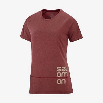 Salomon CROSS RUN GRAPHIC T Shirts Dame Rød | DK-L1235
