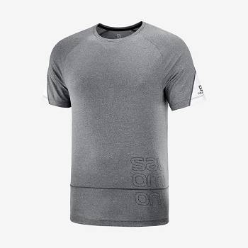 Salomon CROSS RUN GRAPHIC T Shirts Herre Grå | DK-O1915