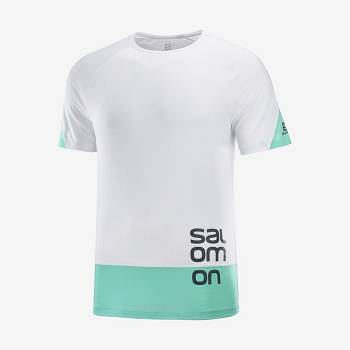 Salomon CROSS RUN GRAPHIC T Shirts Herre Hvide | DK-O2496