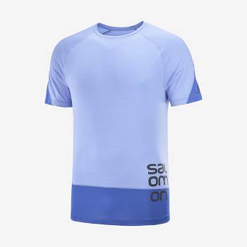 Salomon CROSS RUN GRAPHIC T Shirts Herre Blå | DK-S2115