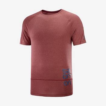 Salomon CROSS RUN GRAPHIC T Shirts Herre Rød | DK-W1370