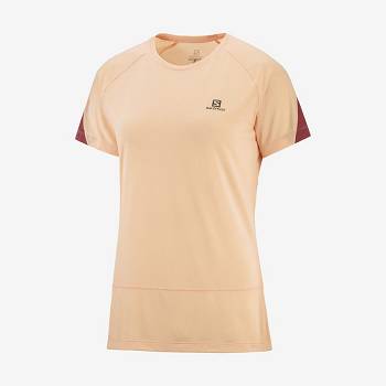 Salomon CROSS RUN T Shirts Dame Beige | DK-L1256