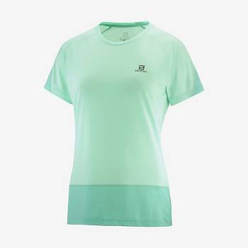 Salomon CROSS RUN T Shirts Dame Grøn | DK-L2187