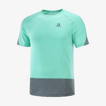 Salomon CROSS RUN T Shirts Herre Mintgrønne | DK-L1956