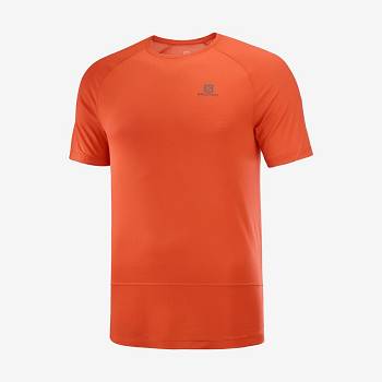 Salomon CROSS RUN T Shirts Herre Orange | DK-S1625