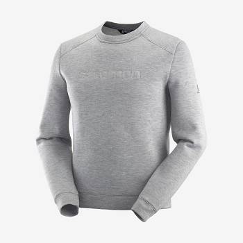Salomon ESSENTIAL WARM Hættetrøje Herre Grå | DK-A1591