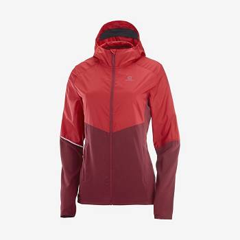 Salomon Jakke AGILE WIND Softshell Jakke Dame Rød | DK-M1706