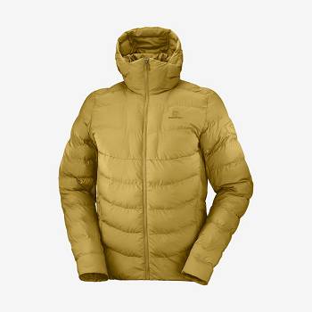 Salomon Jakke ESSENTIAL XWARM INSULATED Softshell Jakke Herre Gul | DK-N1771