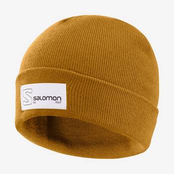 Salomon OUTLIFE LOGO Hat Herre Brune | DK-O2204
