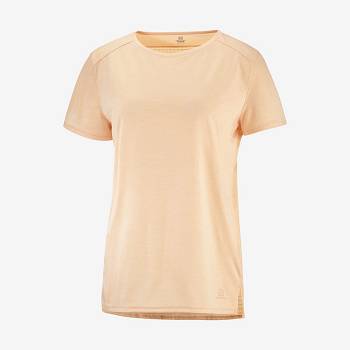 Salomon OUTLINE SUMMER T Shirts Dame Brune | DK-L1039