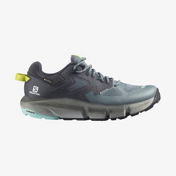 Salomon PREDICT HIKE GORE-TEX Vandresko Dame Sølv | DK-O1418