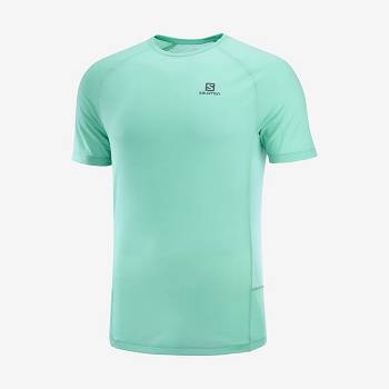 Salomon PROMO CROSS REBEL T Shirts Herre Mintgrønne | DK-L1284