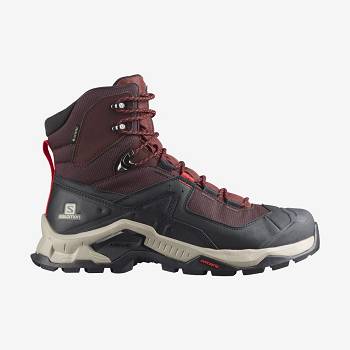 Salomon QUEST ELEMENT GORE-TEX Vandrestøvler Herre Grå Rød | DK-O1390