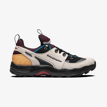 Salomon RAID WIND ADVANCED Sneakers Herre Beige | DK-O1278