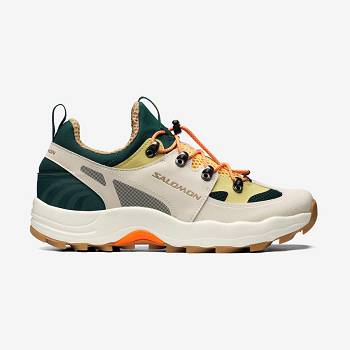 Salomon RAID WIND Sneakers Dame Beige | DK-M1013