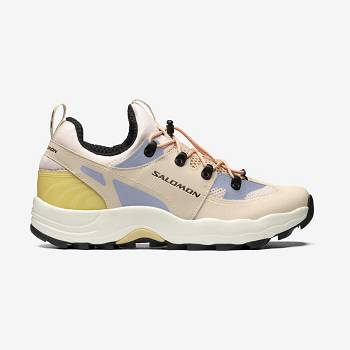 Salomon RAID WIND Sneakers Dame Brune | DK-N1568
