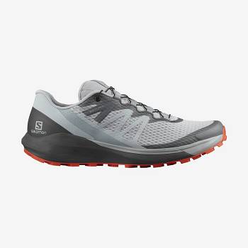 Salomon SENSE RIDE 4 Trail Løbesko Herre Beige Grå | DK-O1488