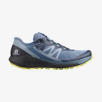 Salomon SENSE RIDE 4 Trail Løbesko Herre Grå | DK-S2535