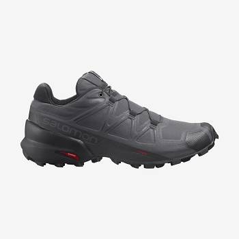 Salomon SPEEDCROSS 5 Trail Løbesko Herre Sølv | DK-O2533