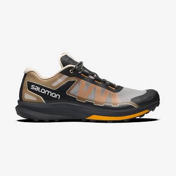 Salomon ULTRA RAID Sneakers Herre Brune Sølv | DK-A1010