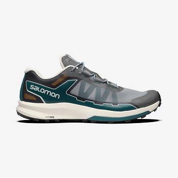 Salomon ULTRA RAID Sneakers Herre Grå Sølv | DK-O2617