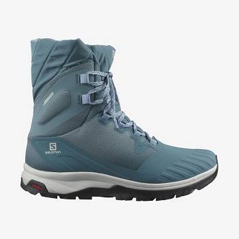 Salomon VAYA POWDER TS CSWP Vinterstøvler Dame Blå | DK-W2720