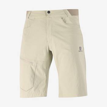 Salomon WAYFARER Shorts Herre Beige | DK-L2054