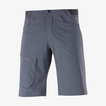 Salomon WAYFARER Shorts Herre Grå | DK-N2058
