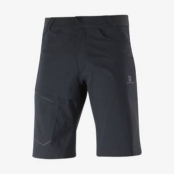 Salomon WAYFARER Shorts Herre Sort | DK-W3240