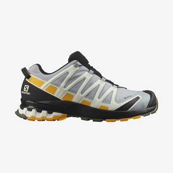 Salomon XA PRO 3D v8 GORE-TEX Vandresko Herre Sølv | DK-wO1845
