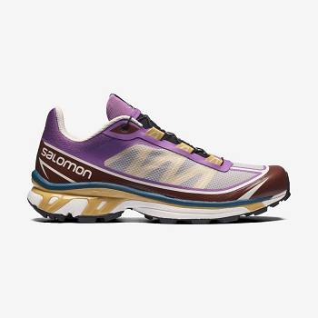 Salomon XT-6 FT Sneakers Herre Lilla Chokolade | DK-M1125